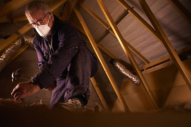 Best Geographic-Specific Insulation Services in Farmersville, CA